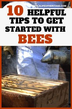 bees in beehive with text overlay reading 10 helpful tips to get started with bees