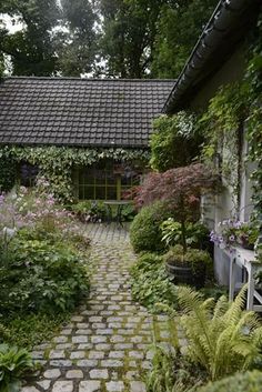 a stone path leading to a house surrounded by greenery