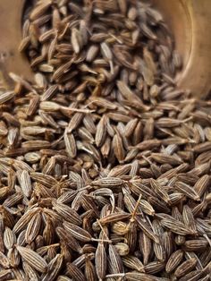 a pile of seeds sitting on top of a table