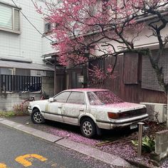 a car parked on the side of a street next to a tree with pink flowers