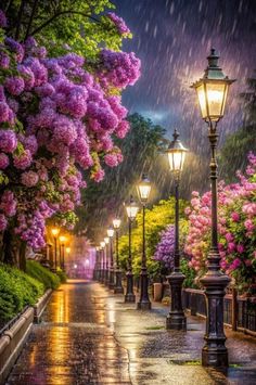 the street is lined with flowering trees and lamps in the rain at night, as well as pink flowers