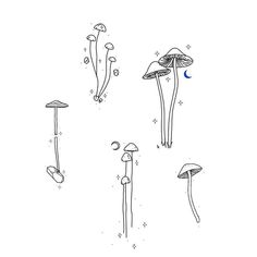 four different types of mushrooms with the moon in the sky and stars above them, all drawn by hand