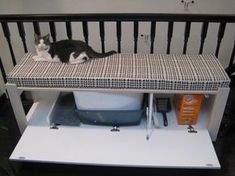 a black and white cat sitting on top of a shelf next to a toilet bowl