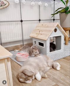 two cats laying on the floor in front of a house shaped like a cat house