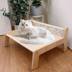 a fluffy white cat laying on top of a wooden bed next to a potted plant