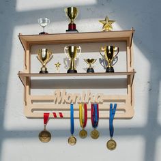 trophies and medals are hanging on a wall