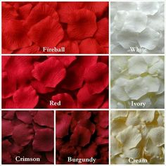 red, white, and blue flowers are shown in different colors