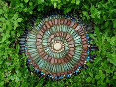 a circular object is sitting in the middle of some green plants and grass, surrounded by leaves