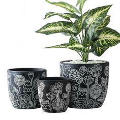 three black and white planters sitting next to each other