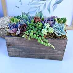 small succulents are arranged in a wooden box