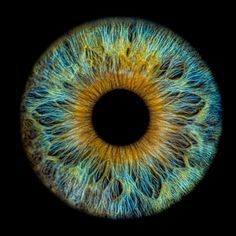 the iris of an eye is shown in this close up photo, it appears to be blue and yellow