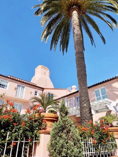 a palm tree in front of a pink building with white balconies and windows