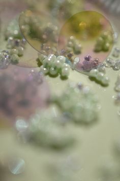 some beads and flowers on a table with water droplets in the middle, as seen from above