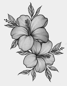 a black and white drawing of flowers with leaves on the bottom half of their petals