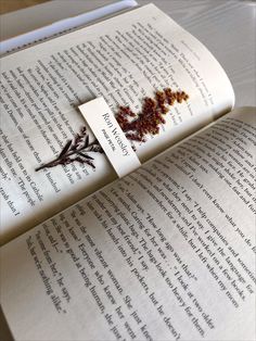 an open book with dried herbs on it