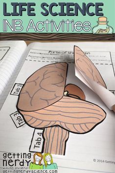 an open book with the title life science nb activities on it and a cut out mushroom