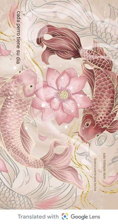 two koi fish and a flower on a white background