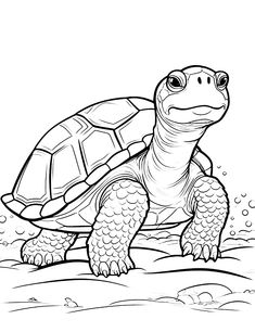 a turtle is walking on the beach coloring page