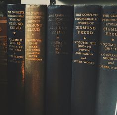 the books are lined up on the shelf in front of the window, and one is black with gold lettering