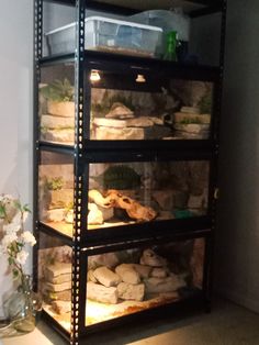 a shelf filled with lots of different types of rocks and plants on top of it