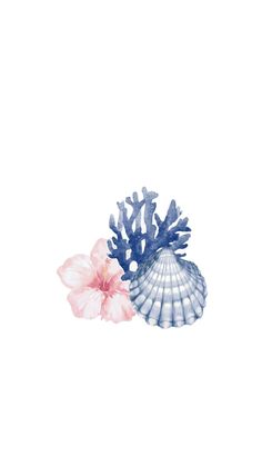 a blue and white sea shell with pink flowers on the side, against a white background