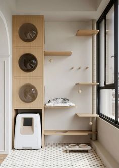 a room with some shelves and plates on the wall