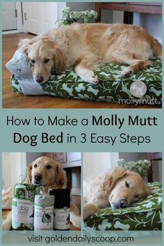 how to make a moly mutt dog bed in 3 easy steps for dogs