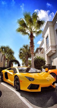 two yellow sports cars parked next to each other in front of palm trees and buildings