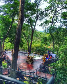 a group of people sitting on top of a wooden platform in the woods next to trees