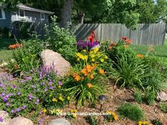 the garden is full of colorful flowers and rocks