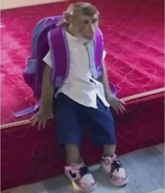 a young boy sitting on top of a bed with a purple backpack over his shoulder