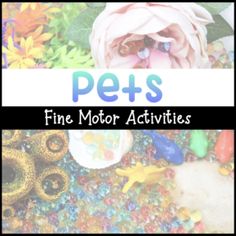 the words pets fine motor activities are in front of an image of flowers and toys