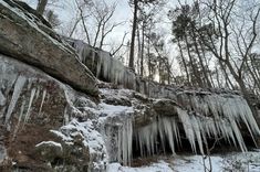 icicles are hanging from the rocks and trees