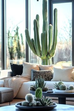 a living room filled with furniture and a large cactus