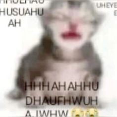 a blurry image of a woman's face with words written below her head