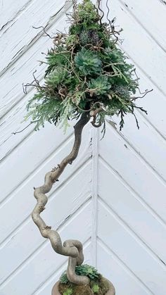 a large potted plant with green plants growing out of it's sides and roots