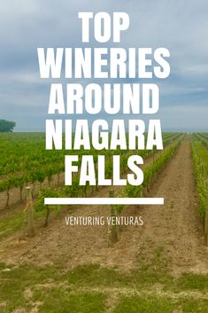 the top wineries around niagara falls, with text overlay that reads top wines around niagara falls