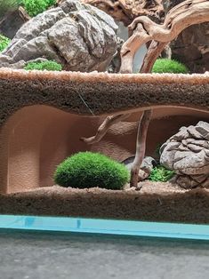 an animal exhibit with rocks and plants in it