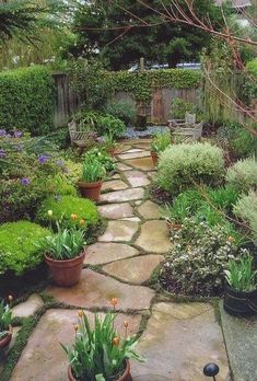 a garden with potted plants and flowers on the ground, along with a stone path