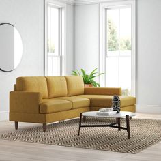 a living room with a couch, coffee table and potted plant on the floor