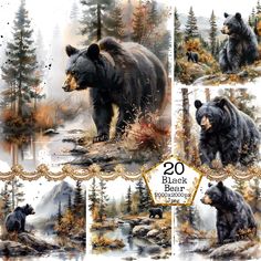 four pictures of bears in the woods with trees and rocks, one is black bear