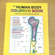 the human body coloring book from cells to systems and beyond on a wooden table top