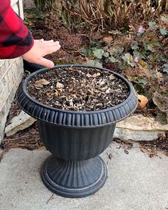 a potted plant sitting on top of a sidewalk next to a brick wall and shrubbery