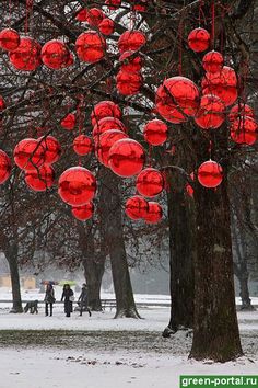 many red lanterns are hanging from trees in the snow, with people walking by them