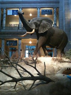 an elephant statue in front of a building