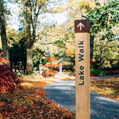 a wooden sign pointing in opposite directions on a road surrounded by trees and leaves with the words lake view written on it