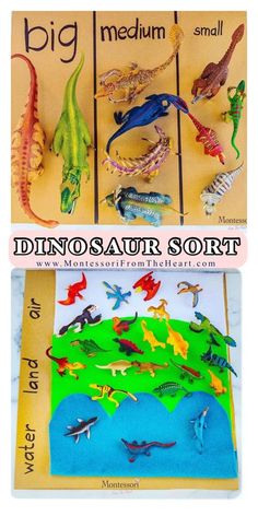 dinosaurs and other animals are shown on the cover of a book with words that read dino's aur sort