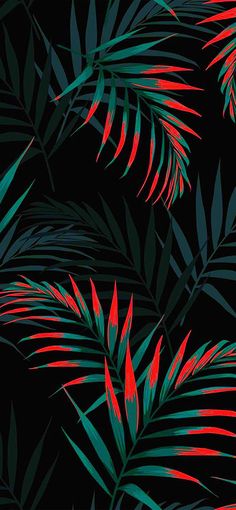 a black background with red and green palm leaves on the bottom right corner is an illustration of tropical plants