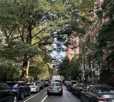 cars are parked on the street in front of tall buildings with trees lining both sides