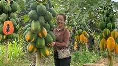 a woman standing in front of a bunch of bananas on a tree with other trees behind her